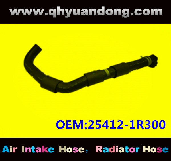 Radiator hose GG OEM:25412-1R300