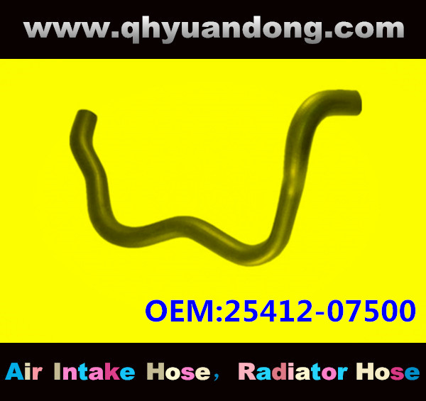 Radiator hose GG OEM:25412-07500