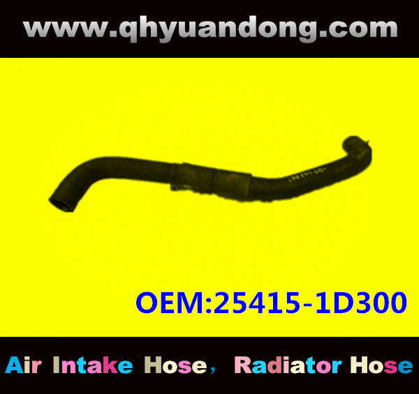 Radiator hose GG OEM:25415-1D300