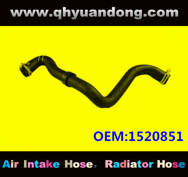 Radiator hose GG OEM:1520851