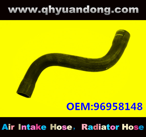 Radiator hose GG OEM:96958148