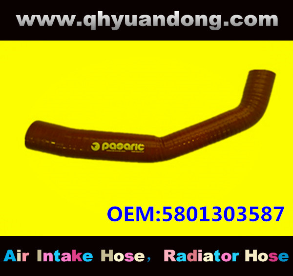 Radiator hose OEM:5801303587
