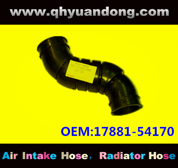 AIR INTAKE HOSE FB 17881-54170