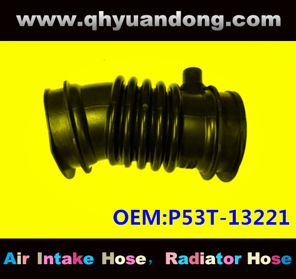 AIR INTAKE HOSE FB P53T-13221