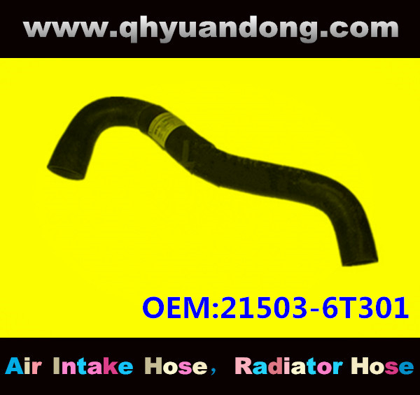 Radiator hose GG OEM:21503-6T301
