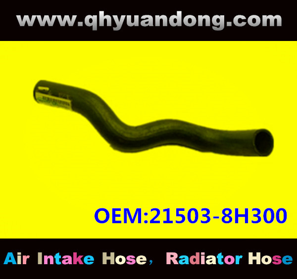 Radiator hose GG OEM:21503-8H300