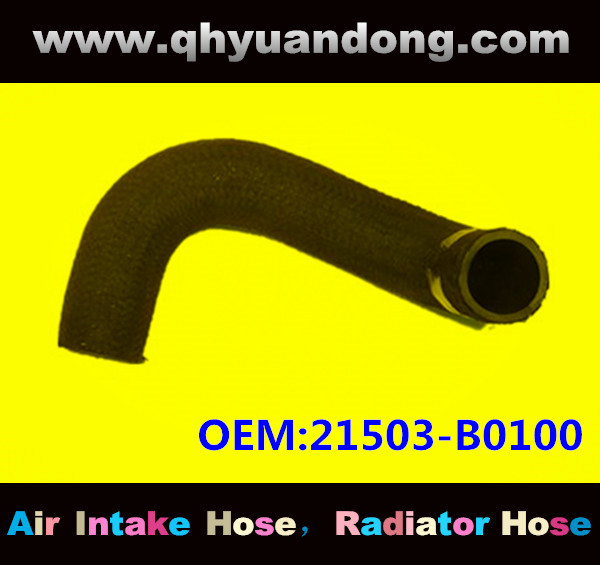 Radiator hose GG OEM:21503-B0100