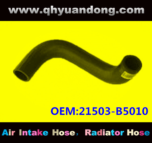Radiator hose GG OEM:21503-B5010