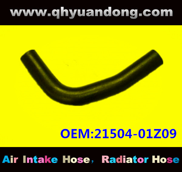 Radiator hose GG OEM:21504-01Z09