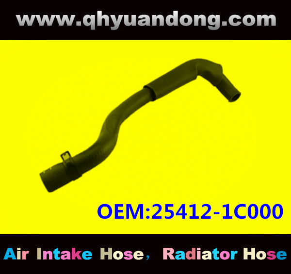 Radiator hose GG OEM:25412-1C000