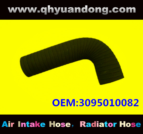 Radiator hose GG OEM:3095010082