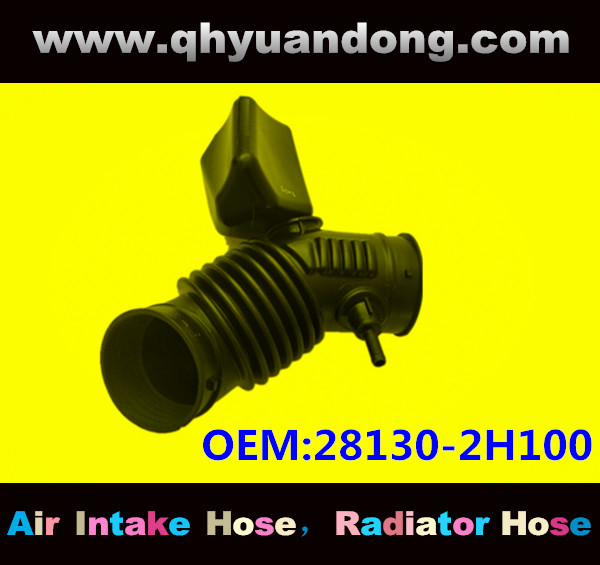 AIR INTAKE HOSE 28130-2H100