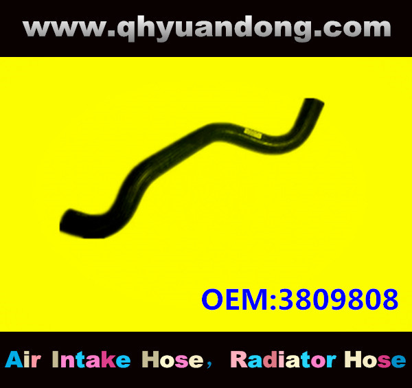Radiator hose GG OEM:3809808