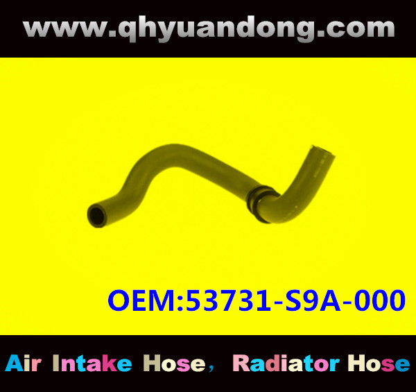 Radiator hose GG OEM:53731-S9A-000