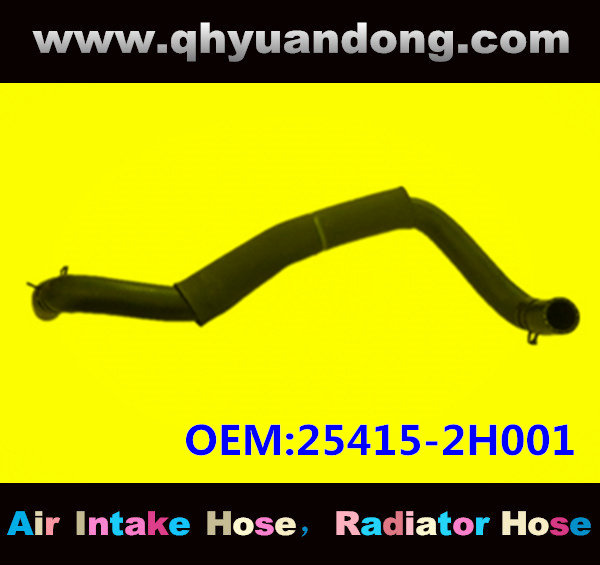 Radiator hose OEM:25415-2H001