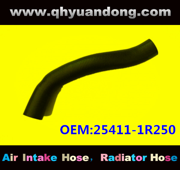 Radiator hose OEM:25411-1R250