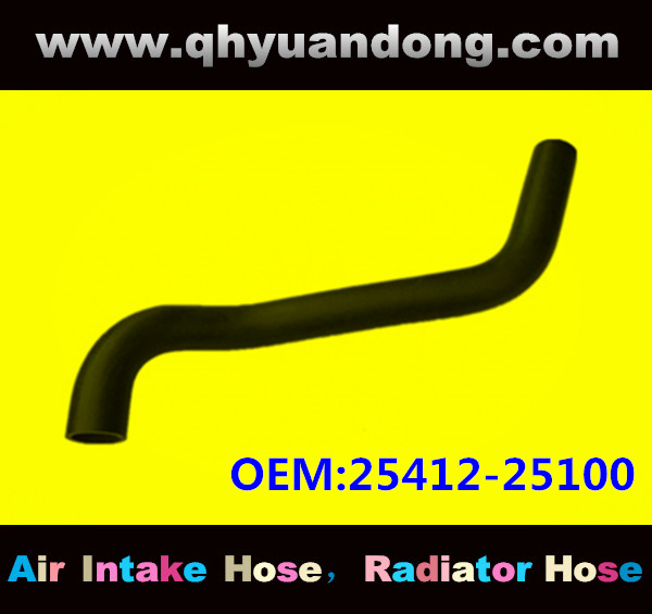 Radiator hose OEM:25412-25100