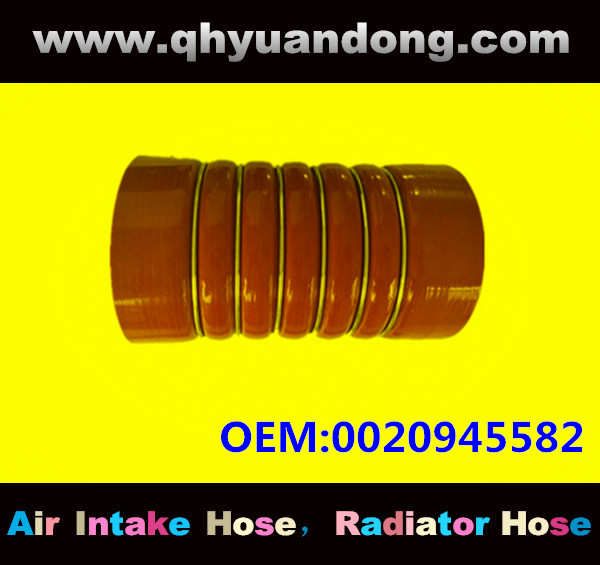 Truck SILICONE HOSE 0020945582