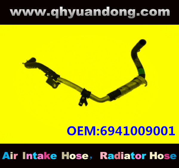 Radiator hose TB OEM:6941009001