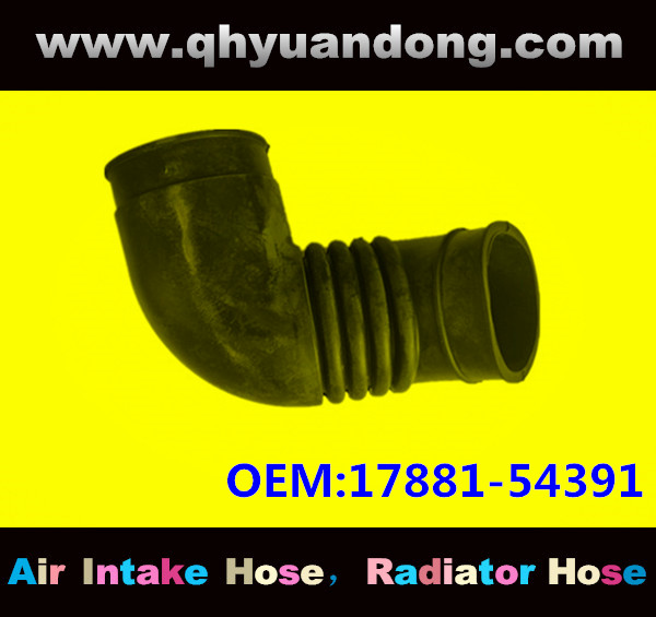 AIR INTAKE HOSE 17881-54391