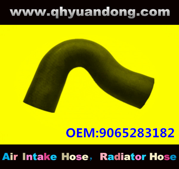Radiator hose OEM:9065283182