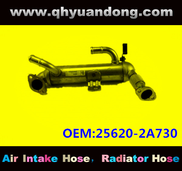 Radiator hose GG OEM:25620-2A730