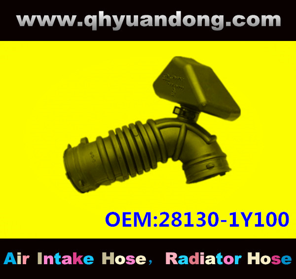 AIR INTAKE HOSE GG 28130-1Y100