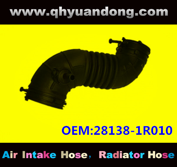 AIR INTAKE HOSE GG 28138-1R010