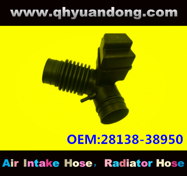 AIR INTAKE HOSE GG 28138-38950