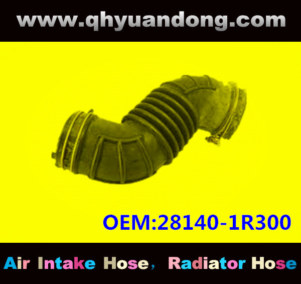 AIR INTAKE HOSE GG 28140-1R300