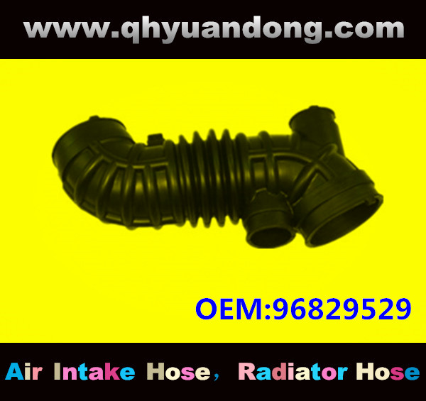 AIR INTAKE HOSE GG 96829529