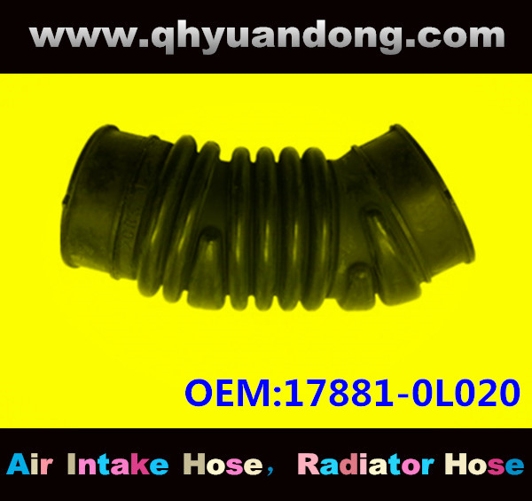 AIR INTAKE HOSE 17881-0L020