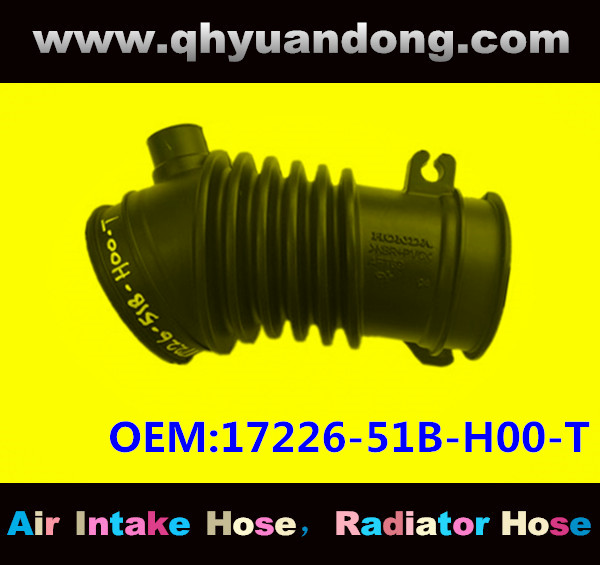 AIR INTAKE HOSE 17226-51B-H00