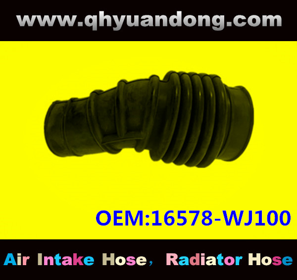 AIR INTAKE HOSE 16578-WJ100