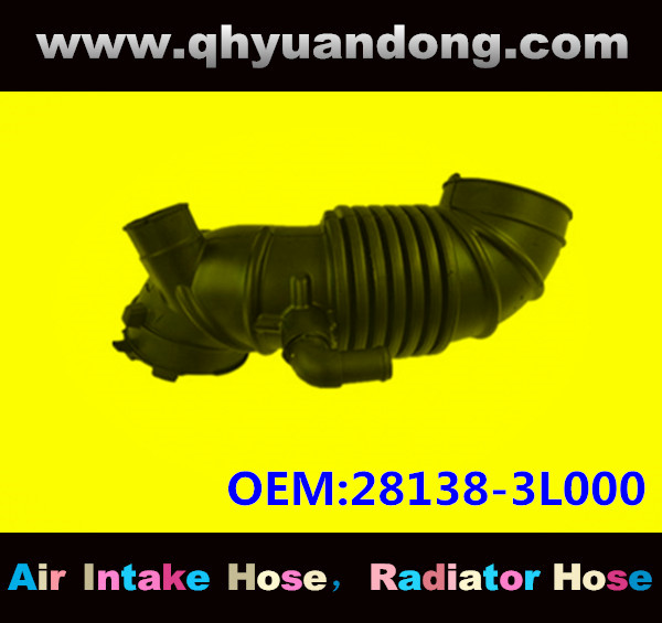 AIR INTAKE HOSE 28138-3L000