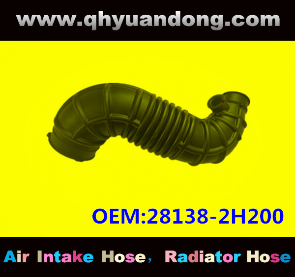 AIR INTAKE HOSE 28138-2H200