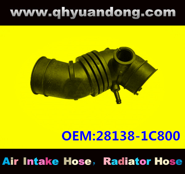 AIR INTAKE HOSE GG OEM 28138-1C800