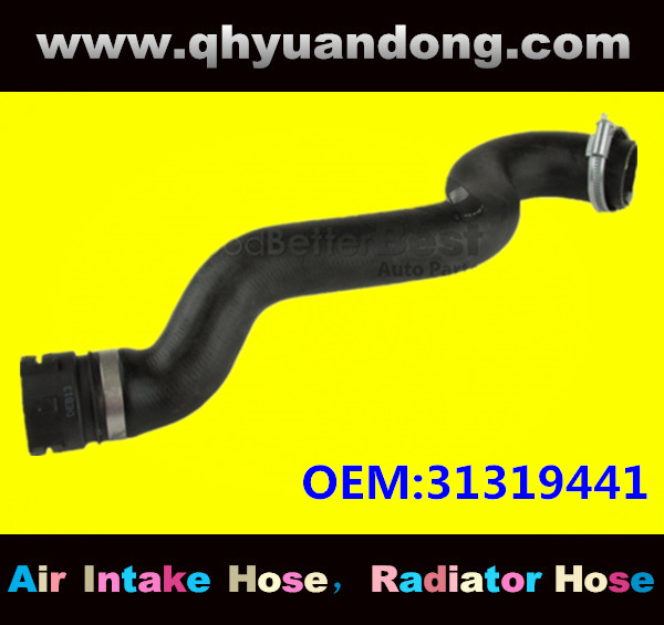 Radiator hose GG OEM:31319441