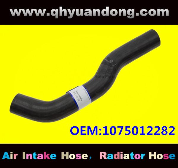 Radiator hose GG OEM:1075012282