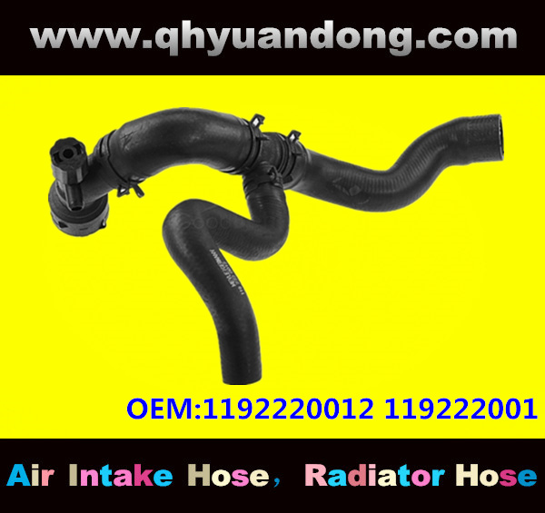 Radiator hose GG OEM:1192220012 119222001