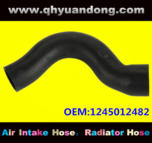 Radiator hose GG OEM:1245012482