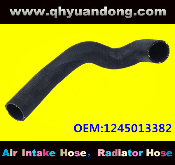 Radiator hose GG OEM:1245013382