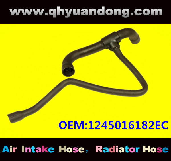 Radiator hose GG OEM:1245016182EC
