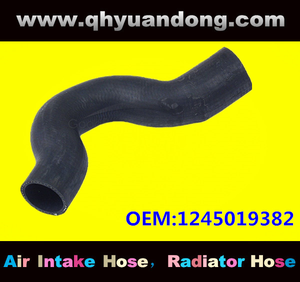 Radiator hose GG OEM:1245019382