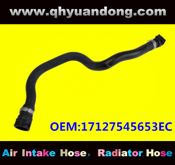 Radiator hose GG OEM:17127545653EC