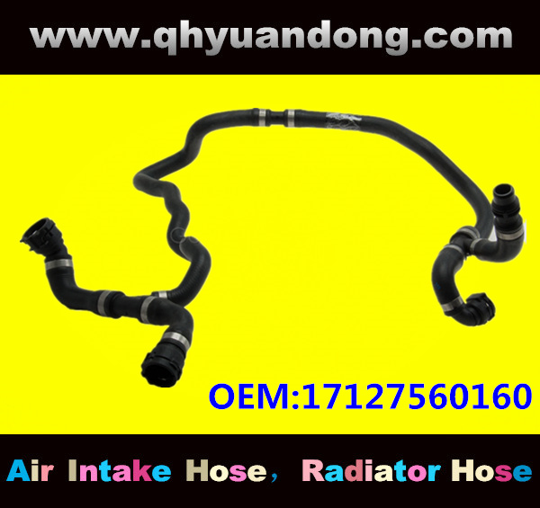 Radiator hose GG OEM:17127560160