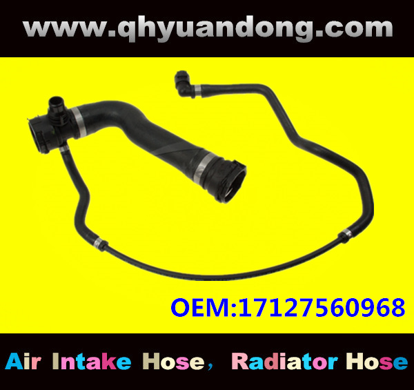 Radiator hose GG OEM:17127560968