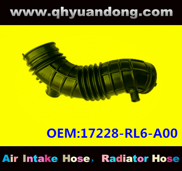 AIR INTAKE HOSE 17228-RL6-A00