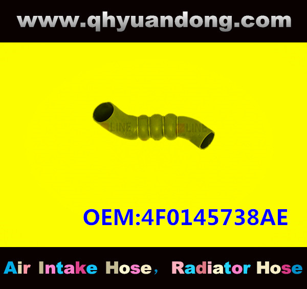 TRUCK SILICONE GG HOSE OEM:4F0145738AE