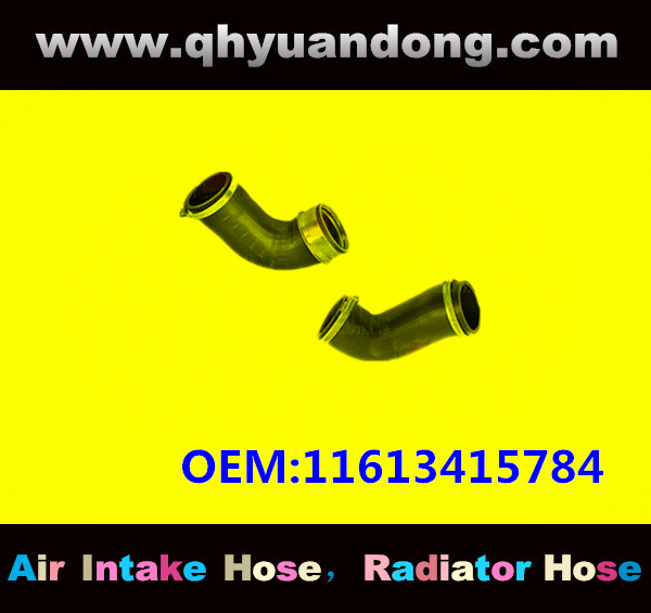 RADIATOR HOSE GG OEM:11613415784